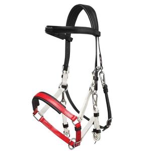 Premium <b>Genuine</b> Leather Horse Halter with Soft Sheepskin Padding Luxury Equestrian Leather Headstall - Product Image 2
