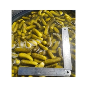 Pepinillos en conserva más vendidos, limpios, puros, seguros y crujientes, en tambor, para relleno de hamburguesas, realzan el sabor, exportación directa, caja al por mayor - Product Image 2