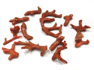 Nuggets de Coral Natural Italiano en Forma de Rama, de 2 a 3 Pulgadas, Rojos, de Forma Libre, Piezas Grandes y Gruesas - Product Image 1