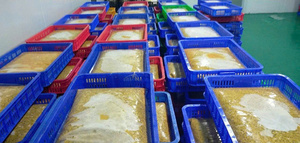 Puré de Maracuyá Congelado de Vietnam para Preparación de Smoothies y Jugos con Precio de Exportación Competitivo - Product Image 2