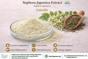 HGO Factory Direct Supply Extrait de sophora japonica naturel pur (qualité alimentaire) Spécification lutéoline 90% (extrait standardisé) - Product Image 6