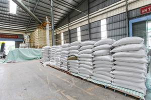 Engrais à base d'extrait d'algues et de raisin de mer en poudre HOLIDAY - Product Image 6