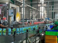 VINUT 10L 10kg 100% Versgeperste Sapdrank Vietnam Drank Groothandel OEM ODM Export Leverancier