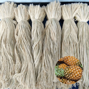 Best Price Vietnam Factory Best Selling Export Quality Dried <b>Pineapple</b> Leaf Fiber Packed in 10 kg Bag - Product Image 1