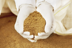 Farine de poisson de qualité supérieure 65% de protéines pour l'alimentation du bétail, des porcs et de la volaille Prix de gros |   Approvisionnement en provenance du Vietnam - Product Image 2