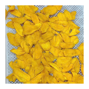 Mango Deshidratado de Sabor Fresco, Suave y Dulce, Snack Natural de Mango, Fruta Tropical Premium, Proveedor de Exportación de Vietnam, Suministro a Granel - Product Image 1
