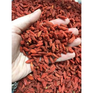 Baies de Goji Séchées Naturelles du Vietnam pour les Distributeurs d'Alimentation Asiatiques, les Marques de Thés aux Herbes et les Projets OEM - Product Image 4