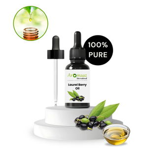Meilleure qualité 100% huile essentielle de baies de laurier biologique Pure au prix de gros huiles de qualité cosmétique - Product Image 2