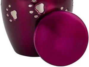 Urnes funéraires pour animaux de compagnie de qualité supérieure en laiton, urnes commémoratives pour chats et chiens, urnes pour cendres de chats et de chiens, urnes en gros à bas prix - Product Image 6