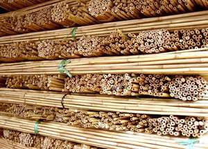 Vietnam Bamboo <b>Poles</b> <b>for</b> Construction, <b>Garden</b> & Furniture - Product Image 6