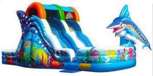 Toboggan de piscine gonflable en PVC pour tous les âges - Product Image 5