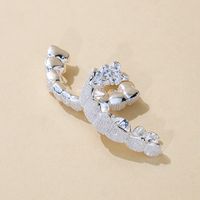 Grillz personnalisés Hip Hop en argent sterling 925, VVS, taille brillant ronde, luxe, pour hommes, style mode