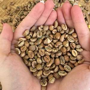 Café Vert à Faible Taux de Brisure, Matière Première en Gros pour Torréfaction, Qualité Supérieure Certifiée ISO, Provenant de Ferme Vietnamienne - Product Image 1