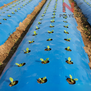 Lámina de Plástico Negra Plateada para Acolchado Agrícola, Película Protectora UV para Control de Malezas, para Cultivo de Vegetales, Frutas y Cultivos - Product Image 6