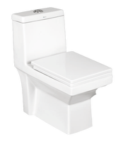 Classique De Luxe Blanc Coloré Bidet Toilette En Céramique Une Pièce Sanitaire Salle De Bains Commode WC Cuvette De Toilette