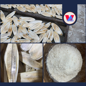 Hueso de Sepia Entero Seco de 6cm, Disponible en Varios Tamaños, Hueso Natural de Sepia para Recortar el Pico de Aves Pequeñas, Suministros para el Cuidado de Mascotas - Product Image 2
