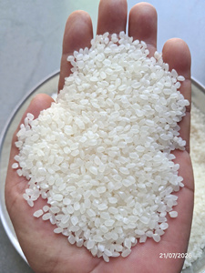 Riz à sushi du Vietnam pour la vente en gros en vrac au prix d'usine - MaxRice - Product Image 2