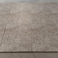 Carreaux de porcelaine Coronos Rossa 60x60 cm, finition mate, imitation pierre, pour sol et mur intérieur