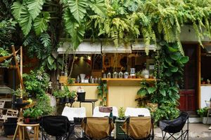 Venta al por mayor de café tostado en grano entero Dalakon Da Lat 500g café en polvo mejor precio estilo italiano café expreso HACCP - Product Image 5