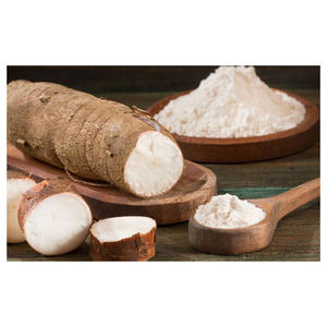 Almidón de yuca orgánico para panadería, fideos, salsas, confitería y producción industrial con empaques a granel para compradores en todo el mundo - Product Image 5
