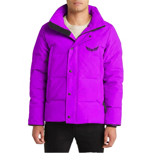 Veste à capuche pour homme, hiver, chaude, épaisse, rembourrée en polyester, décontractée, col montant, logo brodé sur le devant, coupe-vent - Product Image 5