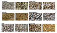 Décortiqueuse de riz brun / Décortiqueuse de paddy - Type à roue à aubes - FC2R