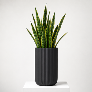 Maceta Moderna de Fibra de Vidrio para Terraza o Patio, Esfera Acanalada Blanca, Minimalista, para Jardín Exterior, 2 Unidades - Product Image 1