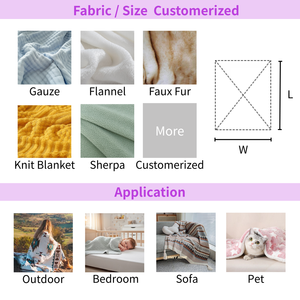 Wholesale Soft Flannel Fleece <b>Blanket</b> Cozy Warm <b>Throw</b> <b>Blanket</b> for Sofa Bed Winter Home Hotel Decorative Use - Product Image 6