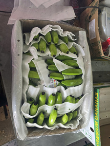 Banane Cavendish du Vietnam Fruits tropicaux frais Exportateur fiable Prix compétitif Approvisionnement - Product Image 5