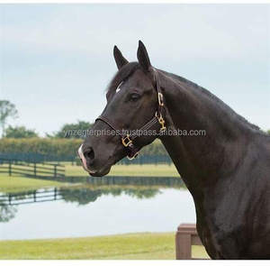 เชือกแขวนคอม้าทำจากหนังแท้อุปกรณ์ขี่ม้าคุณภาพสูงของ Y & Z - Product Image 1