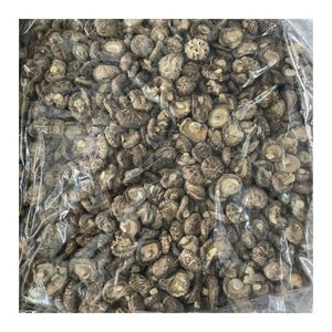 Hongos Shiitake para Saltear de Venta Rápida, para una Cocina Rápida y Confiable, Suministro de Cocina y Saborizante para Cocina Asiática - Product Image 5