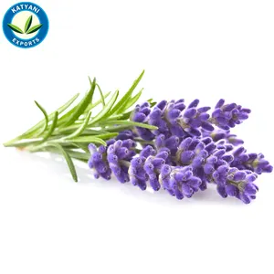 Highest Selling Supreme Quality Fresh Pure And Natural Lavender Fragrances Essential Oil for Sale