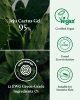 Gel apaisant au cactus YADAH 250 mL, hydratant, apaisement instantané, non collant, gel rafraîchissant transparent pour tous types de peau