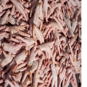 Patas de Pollo Congeladas al por Mayor, Alta Calidad, Frescas y Seguras, Ideales para Servicios de Alimentos al por Mayor, Restaurantes y Exportación - Product Image 6