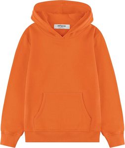 Sweat à capuche oversize en coton épais pour homme, style streetwear décontracté, veste zippée en polaire avec logo personnalisé - Product Image 1
