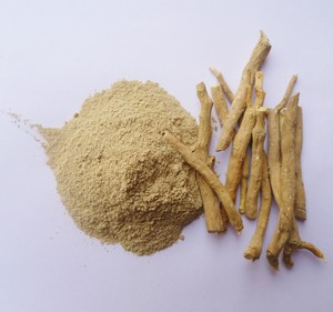 Polvo de Ashwagandha al por Mayor, Polvo de Raíz Herbal Premium para Suplementos de Salud y Uso Nutracéutico, Proveedor a Granel OEM ODM - Product Image 1
