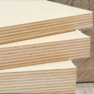 Panneau de bois de bouleau plaqué, revêtement phénolique de qualité DD, fabrication vietnamienne, matériau de construction pour meubles, vente chaude - Product Image 6