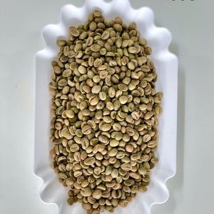 กาแฟเวียดนามชนิดพิเศษ เมล็ดกาแฟโรบัสต้า คุณภาพพรีเมียม เกรด 1 จำหน่ายส่ง ปริมาณมาก ผู้ผลิตส่งออก รับผลิตแบบ OEM ODM จากโรงงานโดยตรง - Product Image 4