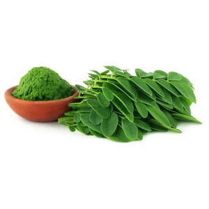 Polvo de Hoja de Moringa de Grado Alimenticio |   Extracto Herbal de Malla Fina para Uso Nutracéutico - Product Image 4