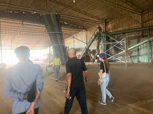 Ceniza de calidad media <3% Pellets de madera de alta capacidad de calentamiento de combustible de biomasa de aserrín de madera mixta de Vietnam del Sur - Product Image 2