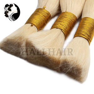 Hali Hair Bulk Cheveux humains vierges à cuticule alignée du Vietnam teints 100g Cheveux bruts Expédition rapide pour le marché africain et les États-Unis - Product Image 1