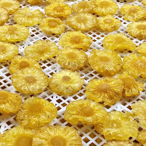 Tranches de fruits d'ananas tendres, fournisseur d'exportation du Vietnam, directement de l'usine - Product Image 1