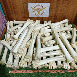 Medio tubo de hueso de búfalo blanco natural, artesanía tradicional y suministro vikingo a precio económico. - Product Image 2