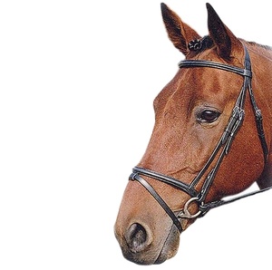 Brida snaffle - Product Image 1