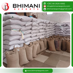 เมล็ดงาดำสดพรีเมียมขายส่ง ปริมาณน้ำมันสูง ความบริสุทธิ์ 99.95% ขนาด 1-3.5 มม. ผู้จัดจำหน่ายส่งออกแบบขายส่ง บรรจุถุง PP ขนาด 25/50 กก. น้ำมันสำหรับอาหาร - Product Image 5