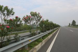 คุณภาพสูงจุ่มร้อนชุบสังกะสีรั้วสำหรับทางด่วน/ทางหลวง/ถนน Made In Vietnam - Product Image 4