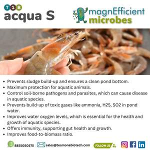 Aquaculture Water Probiotics to Balance pH Essential for Healthy Fish & <b>Shellfish</b> - Product Image 4