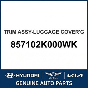 ชุดแต่งตัวถังและขอบประตู Soul New รุ่น 857102K000WK - Product Image 1