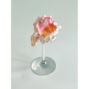 Verre à vin unique en forme de coquillage marin et en verre, parfait pour un usage personnel et pour les établissements hôteliers commerciaux. - Product Image 3