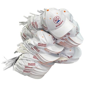 Capa de Graduación de la Universidad Nacional de Economía Inova, Azul con Adornos Dorados, Estilo Bandera de Plumas, Impresión Digital Duradera en Aluminio - Product Image 1